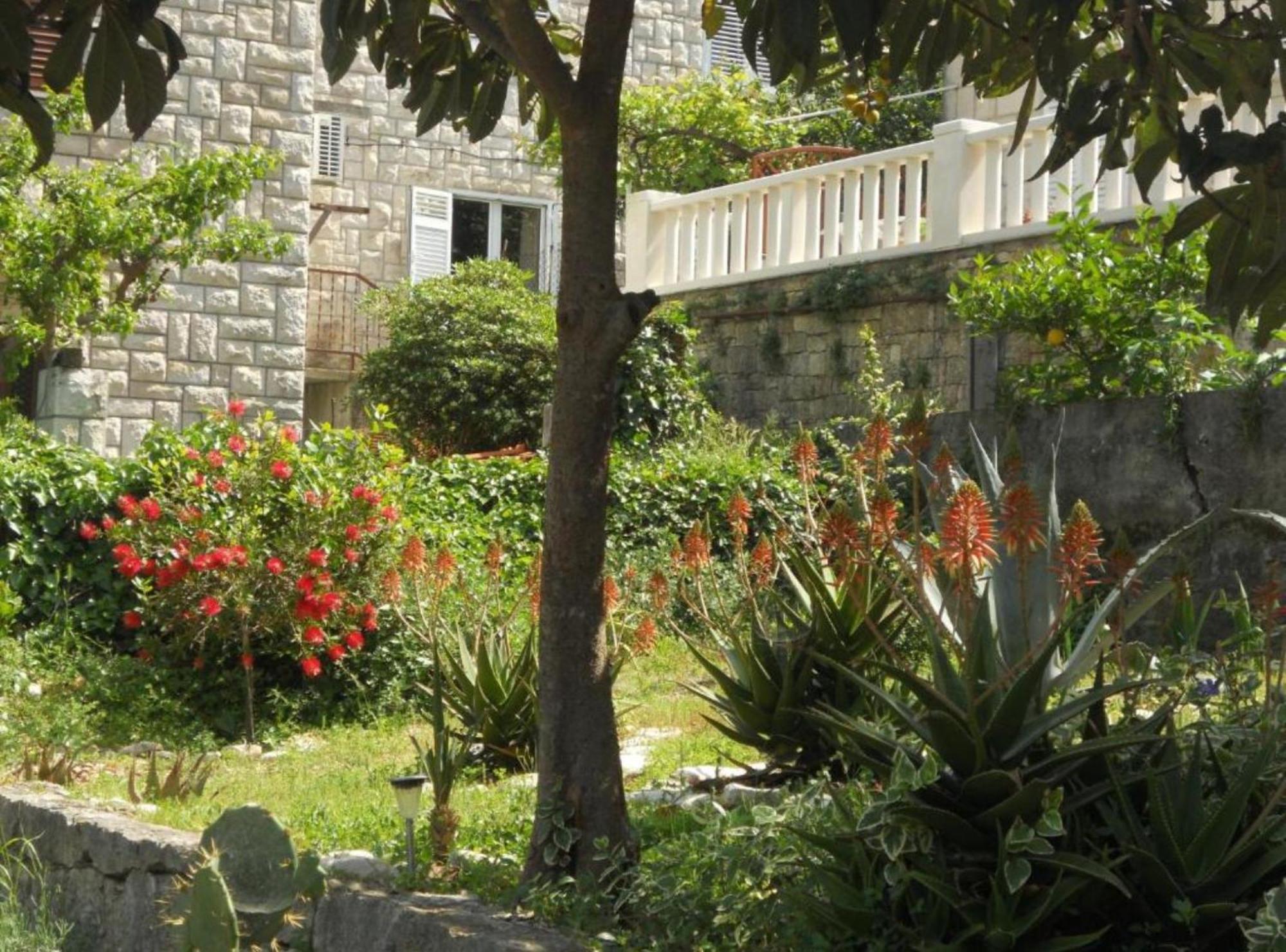 Apartment Plaza 코츌라 외부 사진
